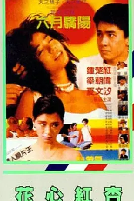 黑狐影院在线观看免费版