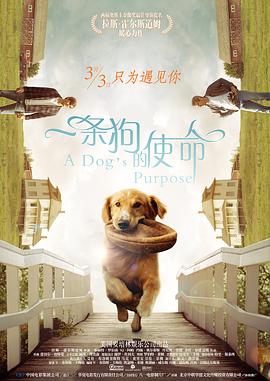 少妇中字