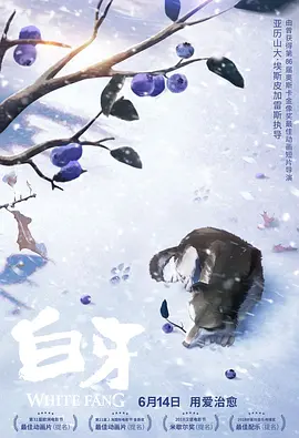 欧美性生活视频播放