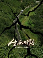 青青综合