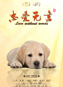 代理快点快点