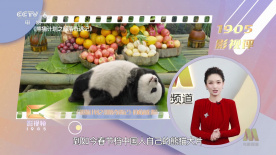 国产精品二区视频